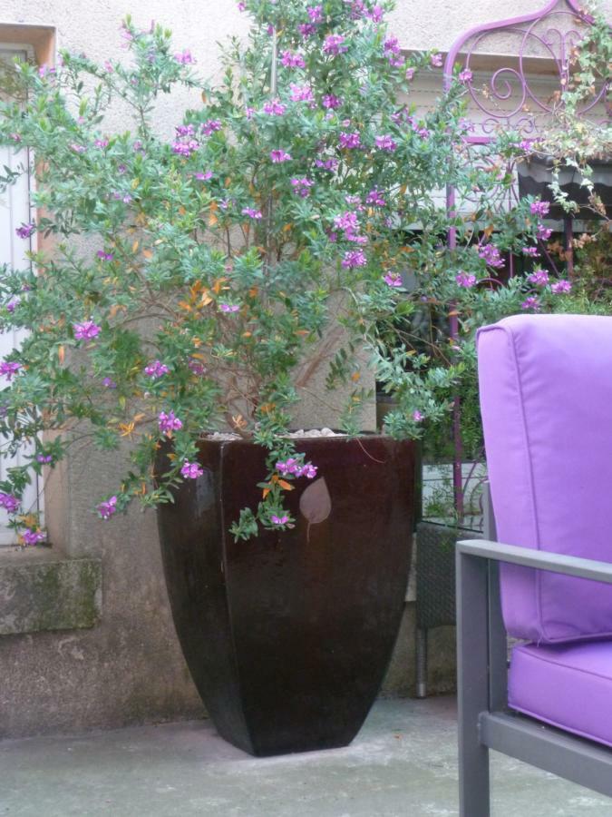 Bed and Breakfast La Pergola Châteauneuf-du-Pape Zewnętrze zdjęcie